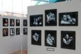 /album/face-to-face/phoca-thumb-l-lolla-053-jpg1/